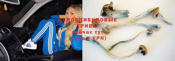 эйфоретик Каменка