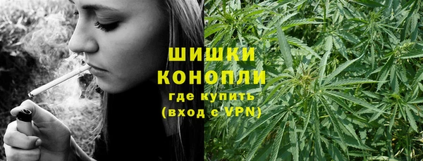 шишки Касимов