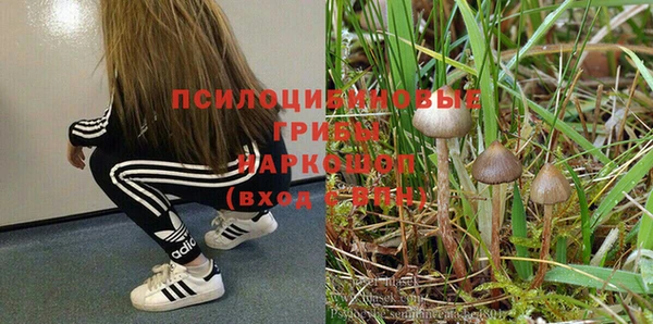 мяу мяу мука Балахна